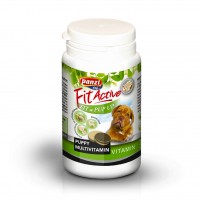 Fitactive fit-a-pup up vitamin