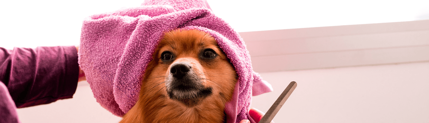 kutyasampon hipoallergén sampon kutyáknak viszketés (1)